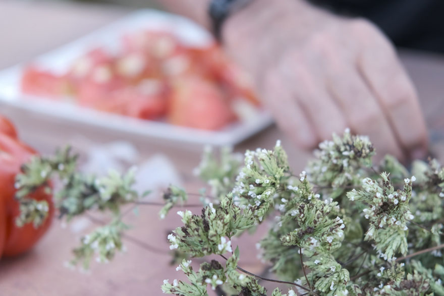 La mejor manera de preparar un tomate