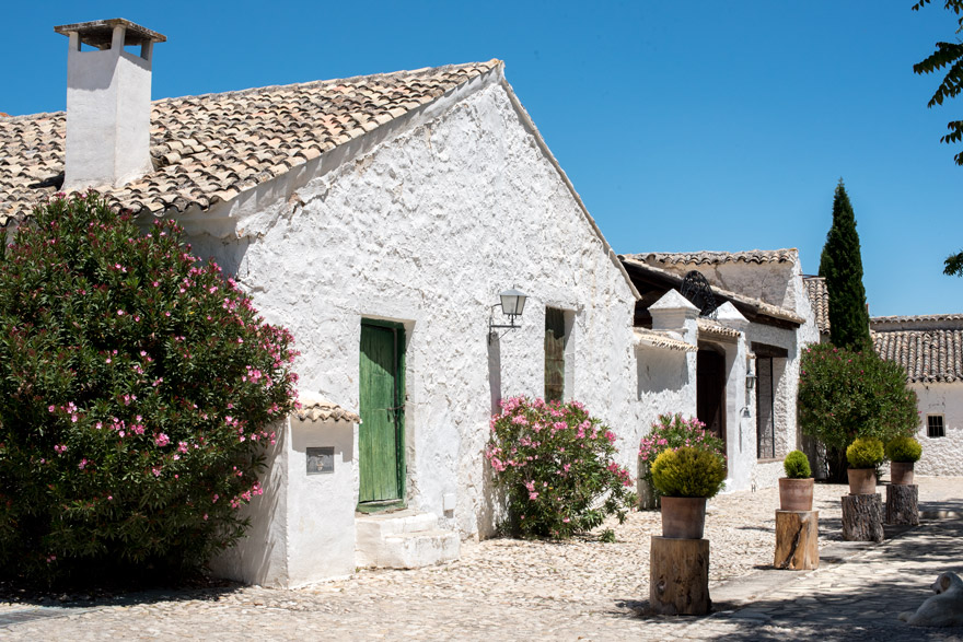 Cata de aceite en el cortijo de la Aldehuela