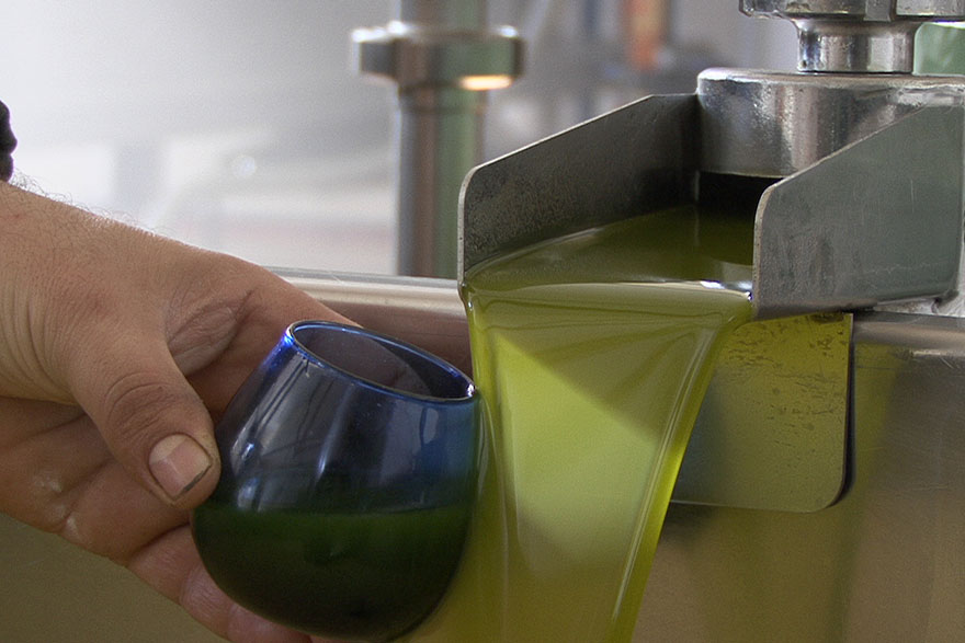 oleoturismo-visita-guiada-almazara-sierra-de-cazorla Copa de cata en una centrífuga vertical