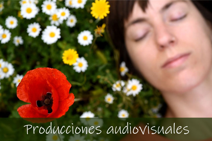 Producciones audiovisuales