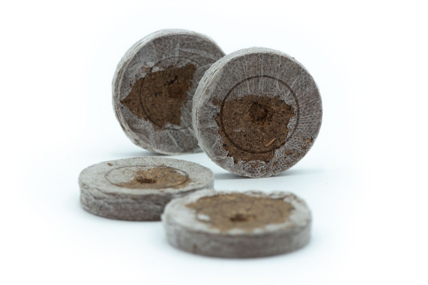 Discos de turba prensada para germinación de olivos